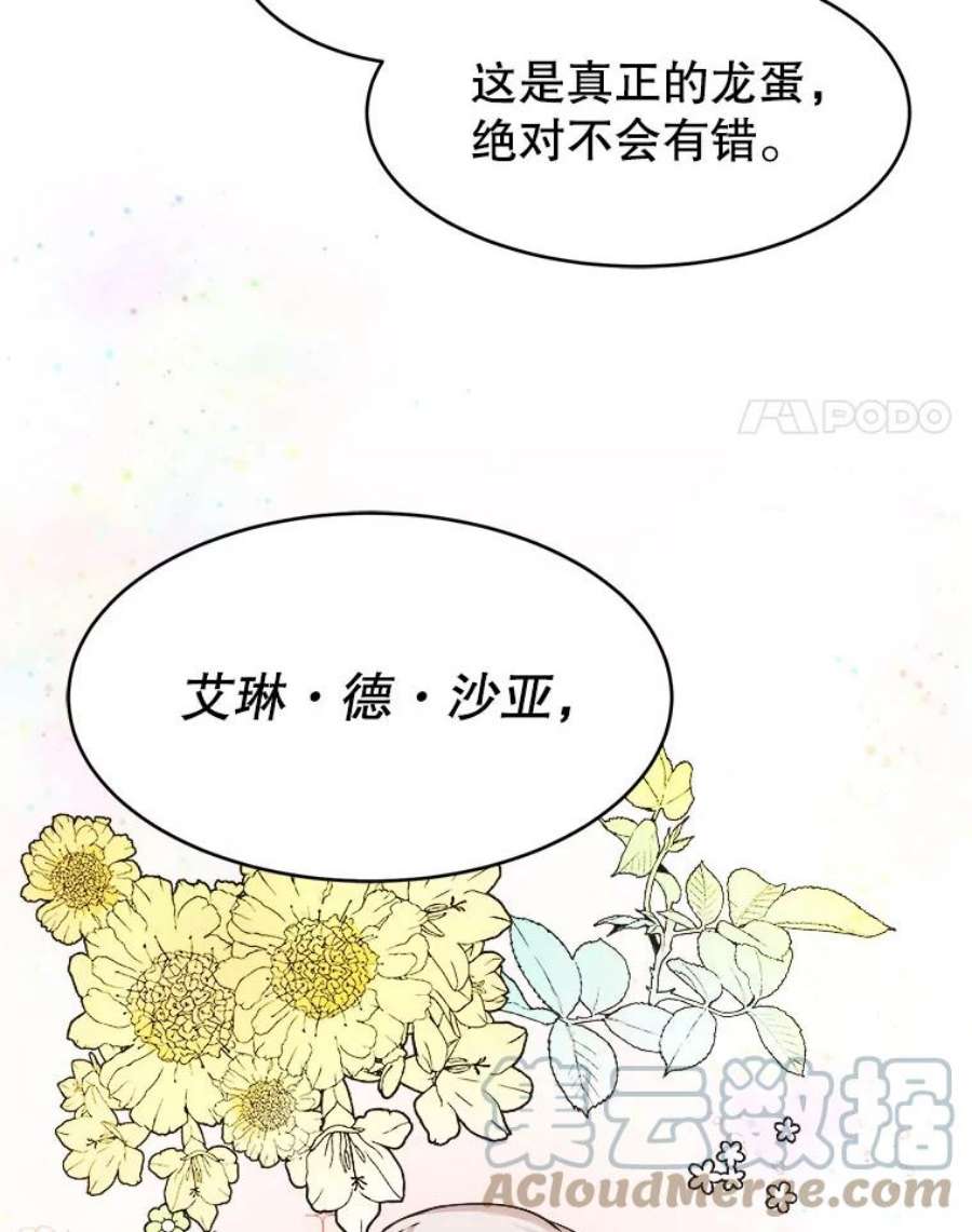 龙宝宝2.重生为龙