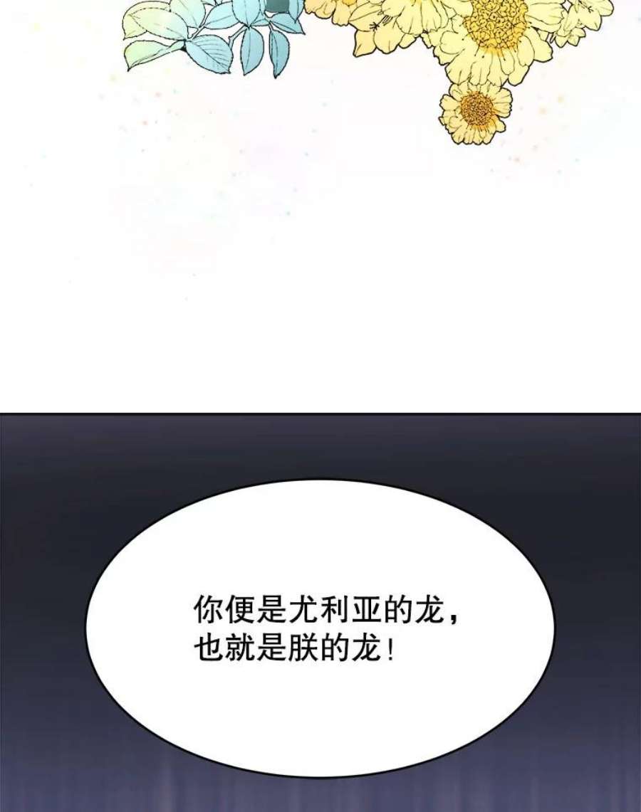 龙宝宝2.重生为龙