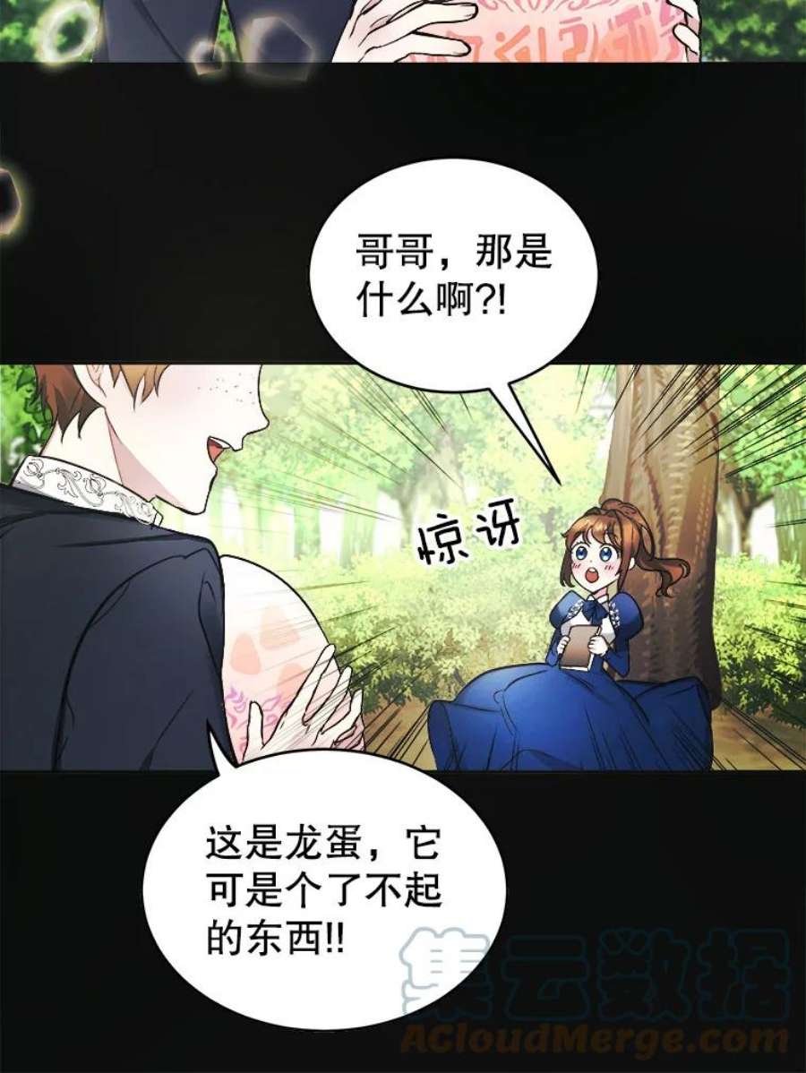 龙宝宝2.重生为龙