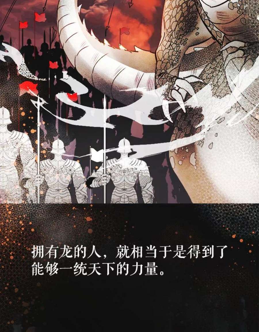 龙宝宝2.重生为龙