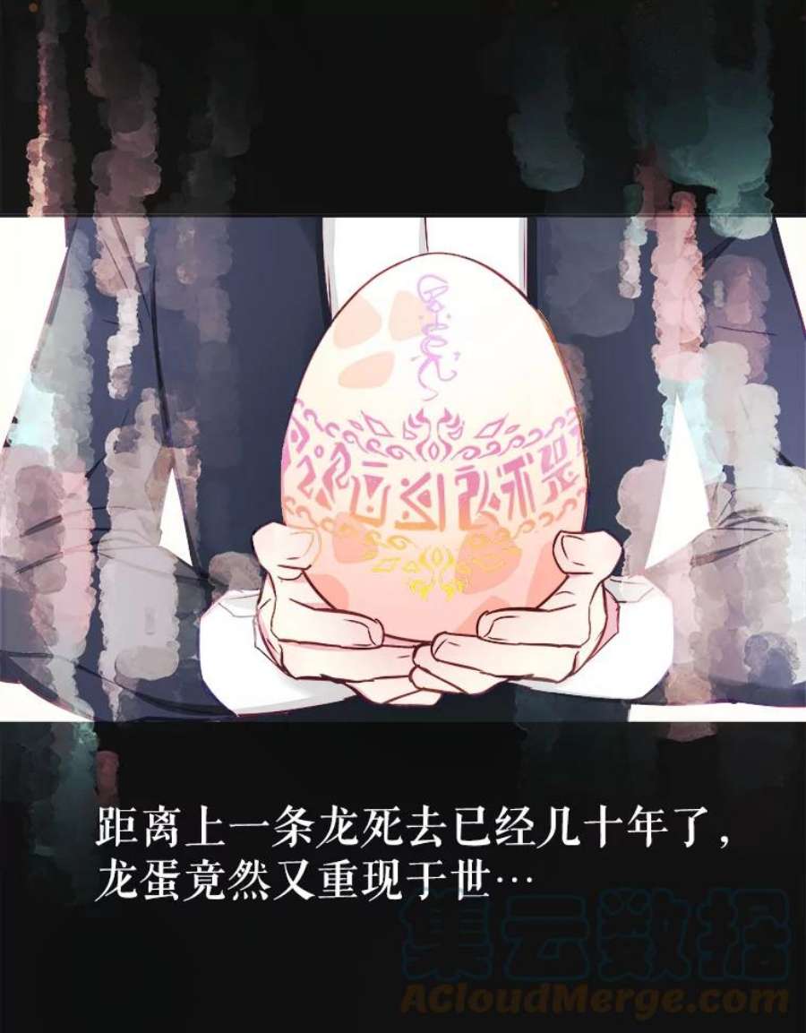 龙宝宝2.重生为龙