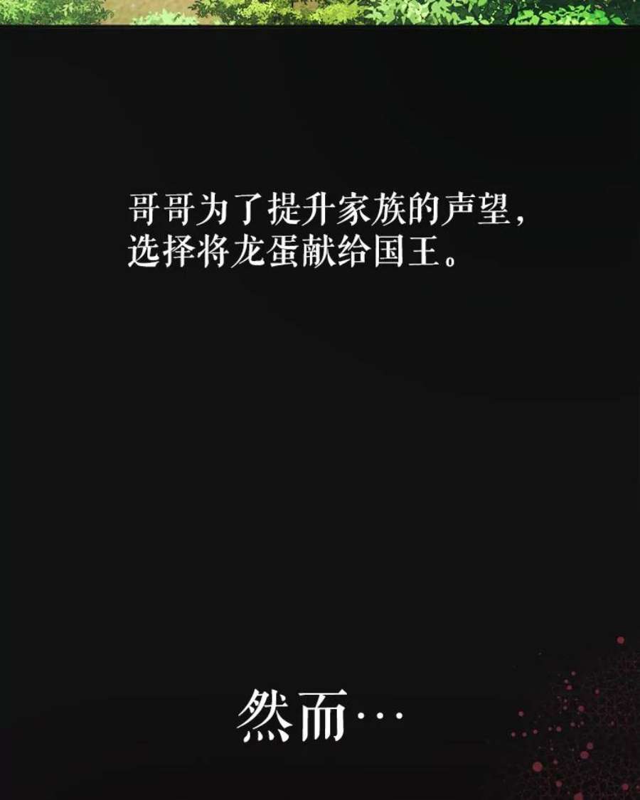 龙宝宝2.重生为龙