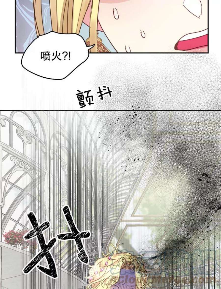 龙宝宝5.王妃苏菲亚
