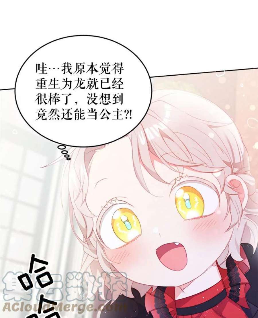 龙宝宝20.当公主？