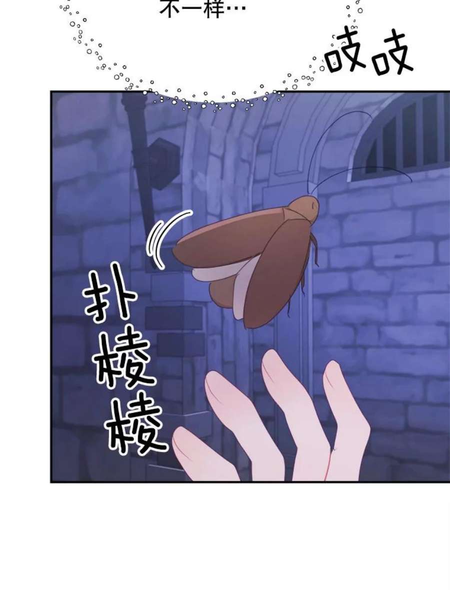 龙宝宝39.虫子大军