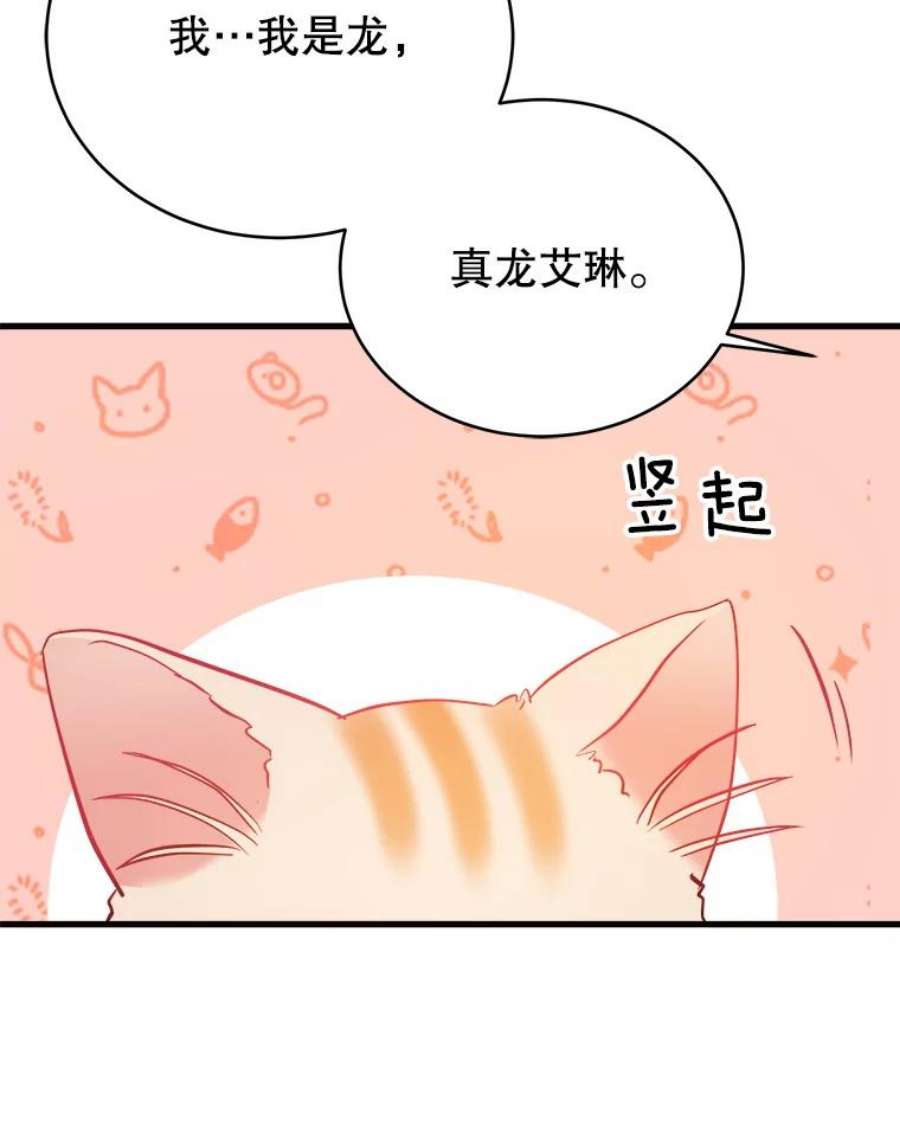 龙宝宝41.狩猎大会