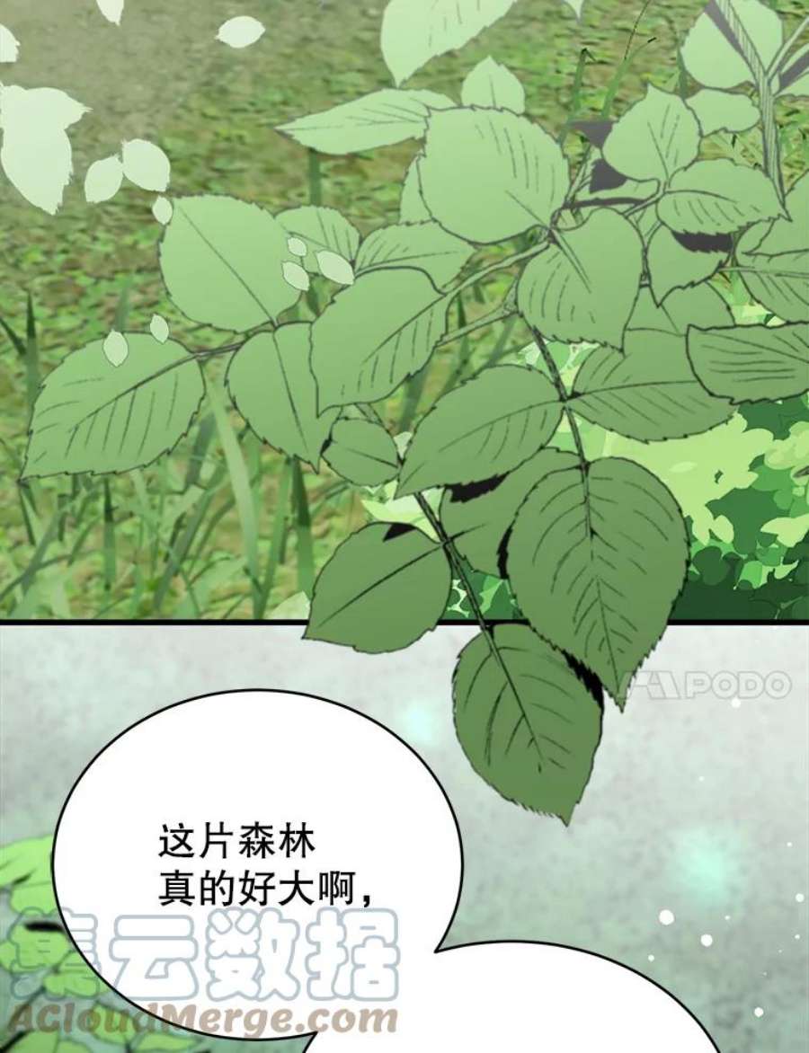 龙宝宝41.狩猎大会