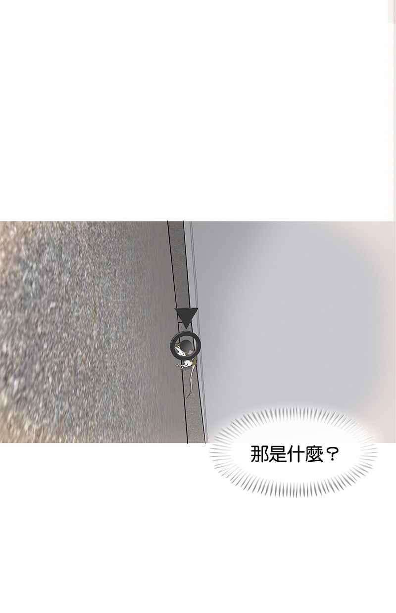 菜鸟伙房兵2话