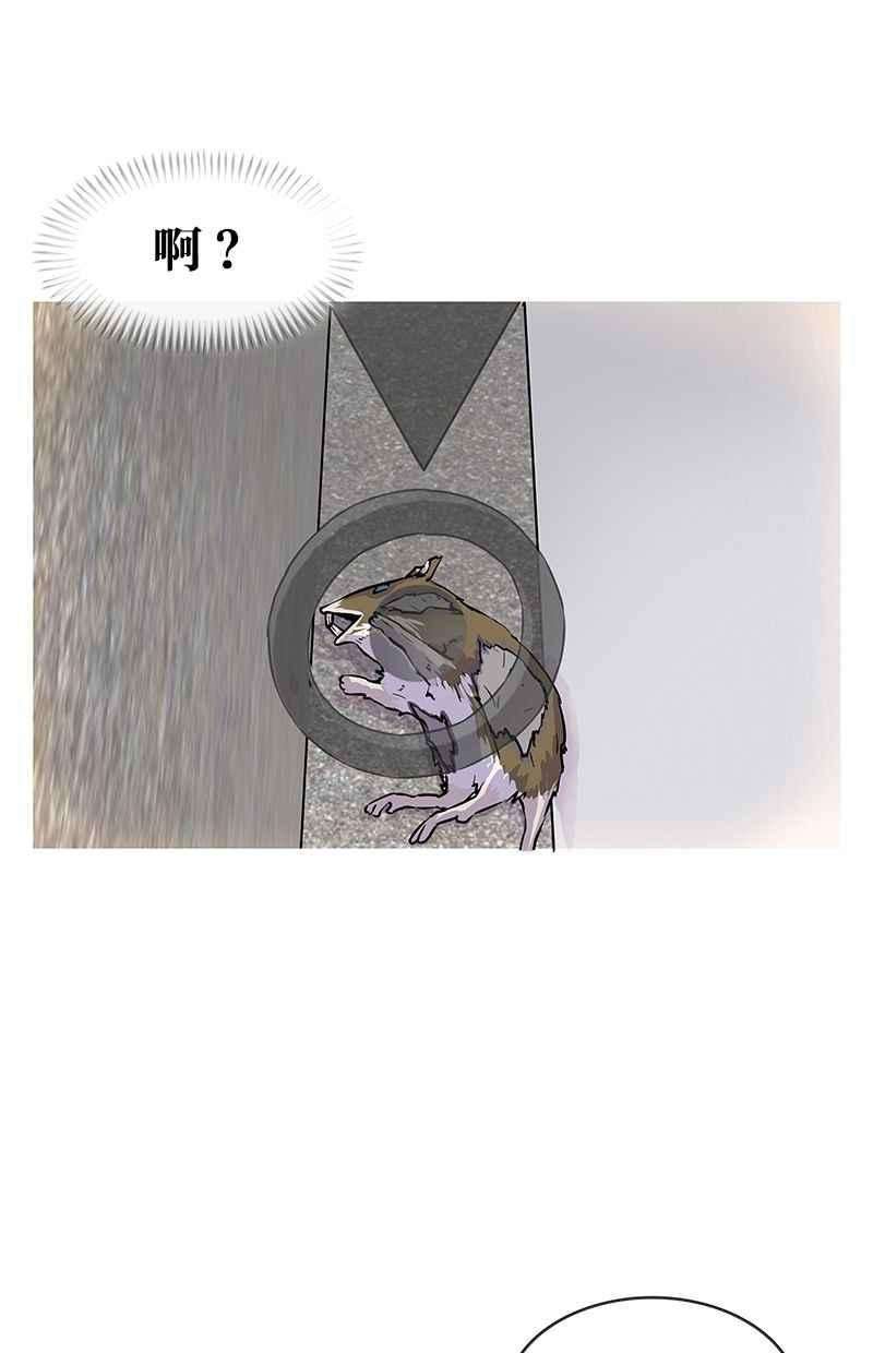 菜鸟伙房兵2话