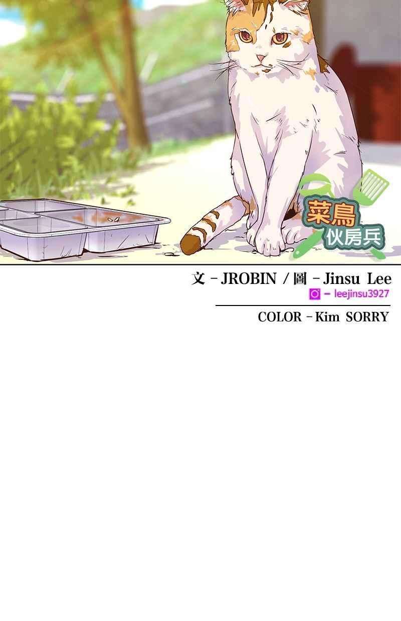 菜鸟伙房兵15话