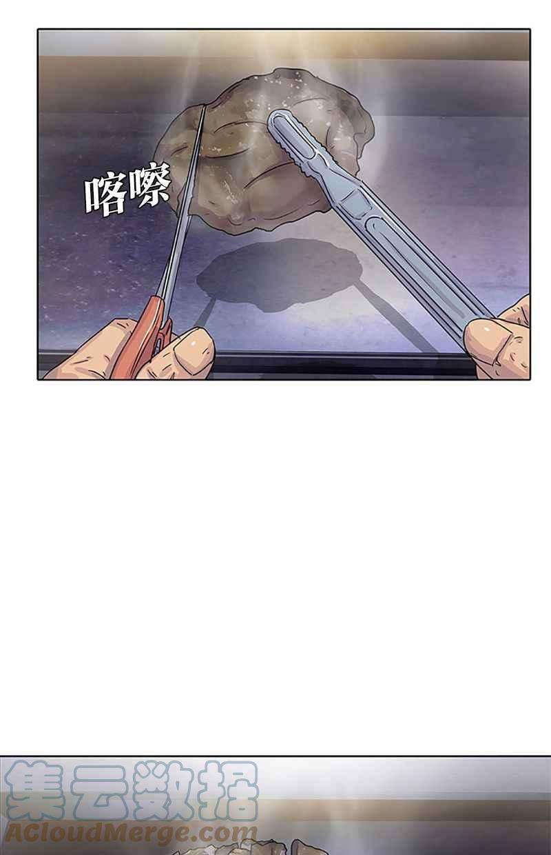 菜鸟伙房兵27话