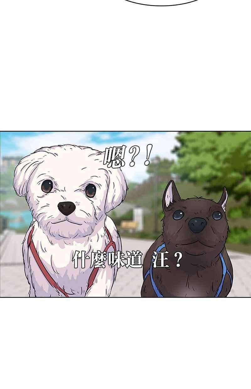 菜鸟伙房兵29话