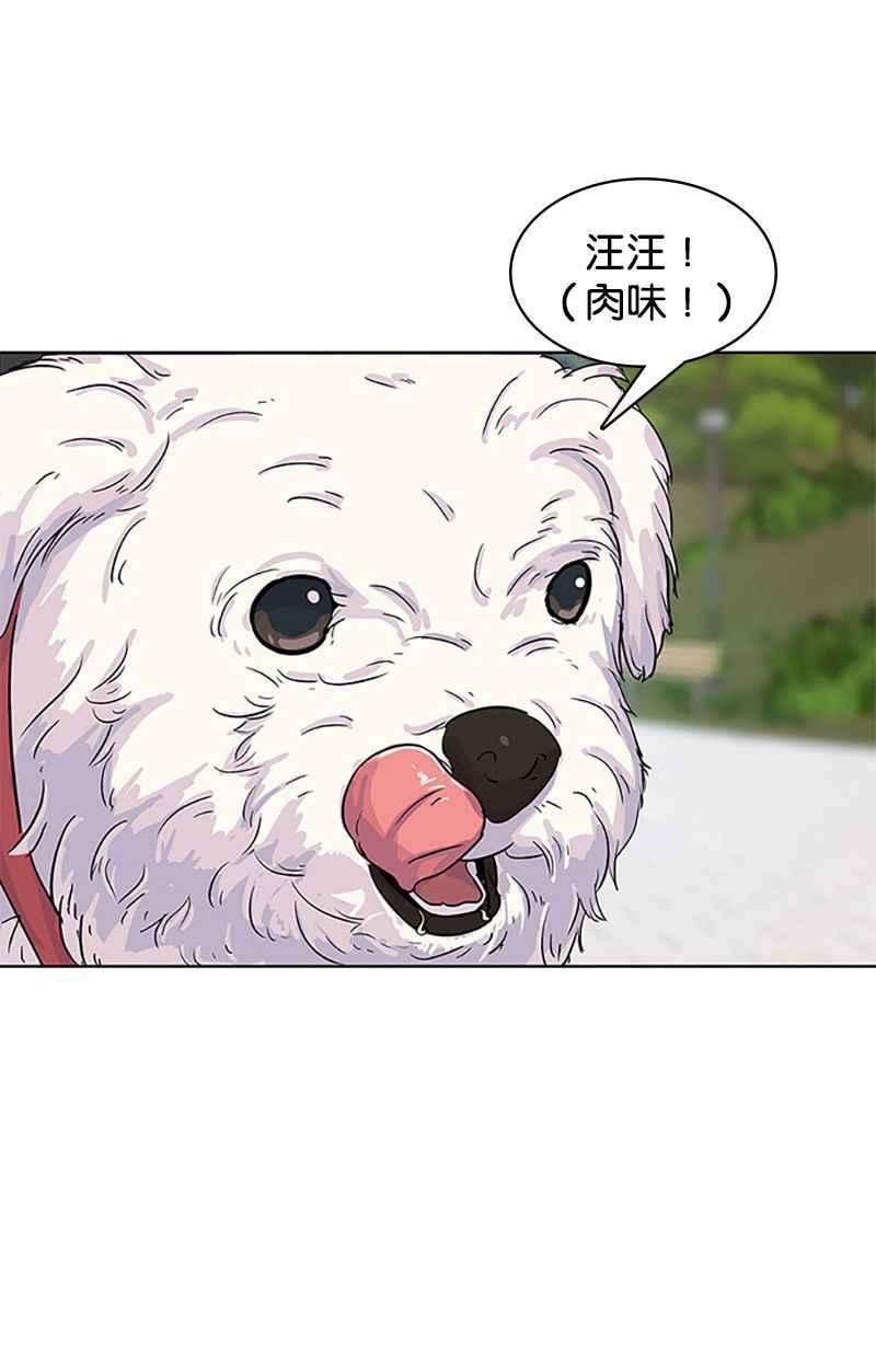菜鸟伙房兵29话