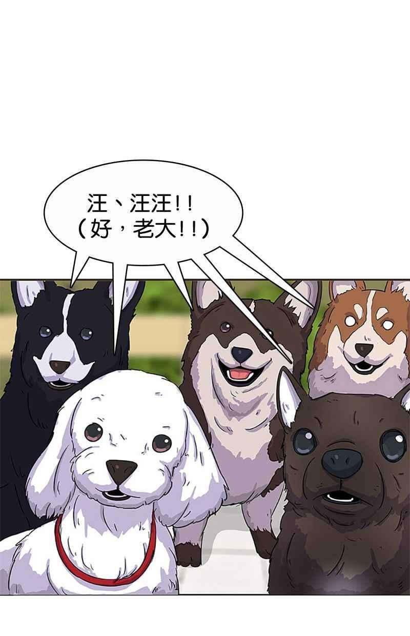 菜鸟伙房兵30话
