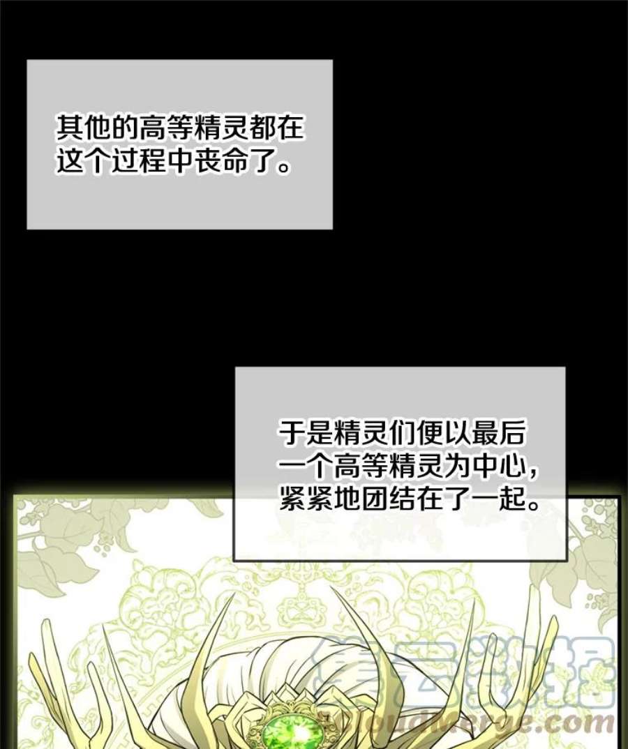 史诗级枪骑士再临29.精灵的眼泪