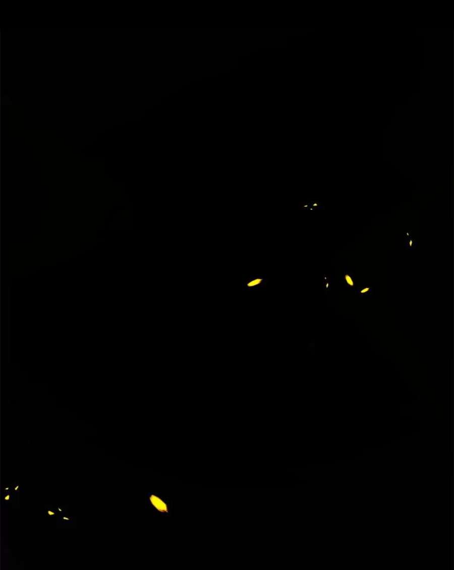 史诗级枪骑士再临42.惩戒