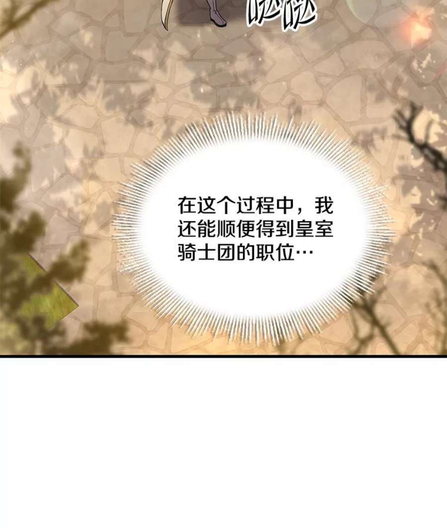 史诗级枪骑士再临49.进入皇宫