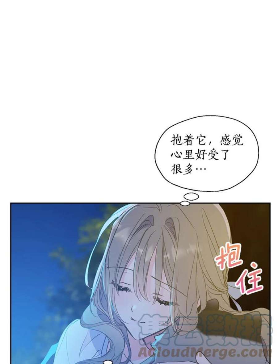 漂亮陛下别杀我60.会幸福的