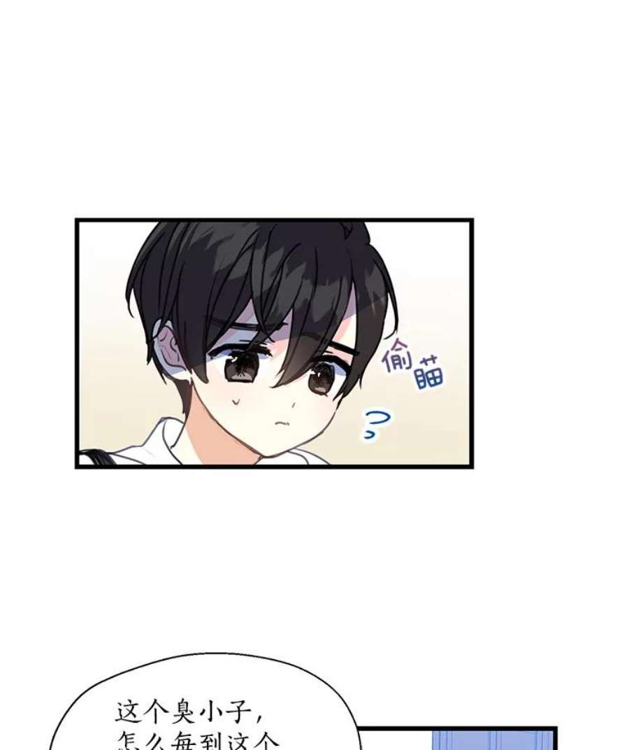 漂亮陛下别杀我9.计划