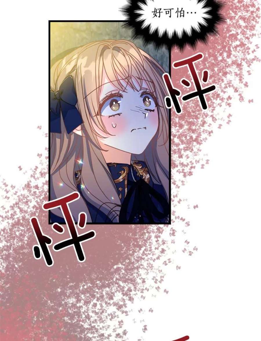 漂亮陛下别杀我38.帕斯