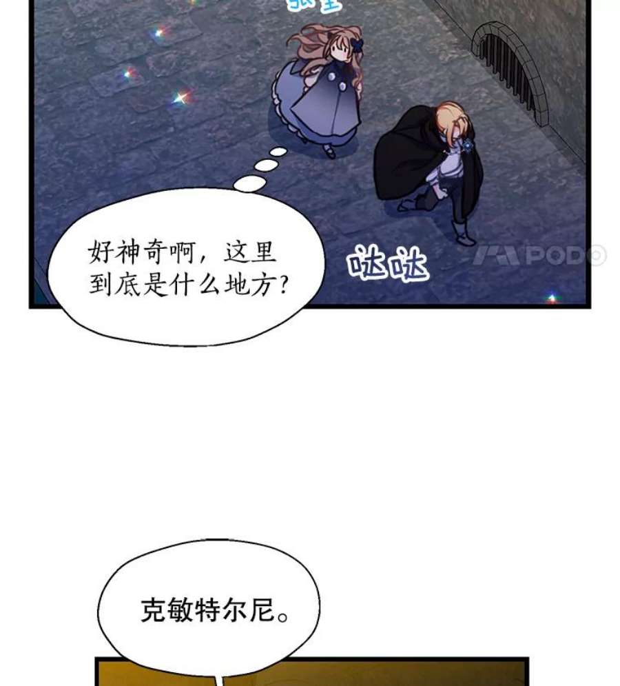 漂亮陛下别杀我38.帕斯