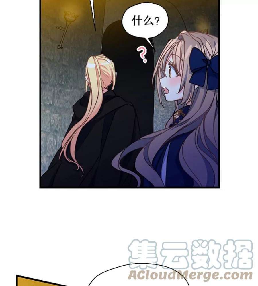 漂亮陛下别杀我38.帕斯