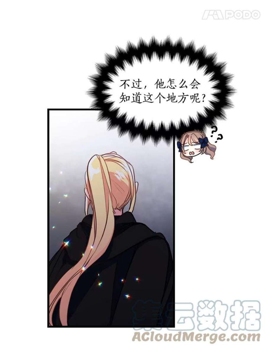 漂亮陛下别杀我38.帕斯