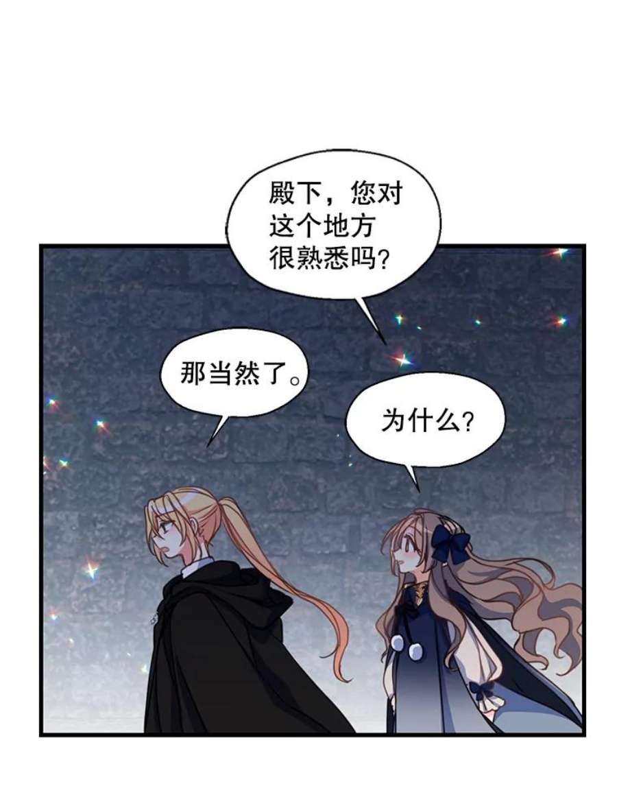 漂亮陛下别杀我38.帕斯