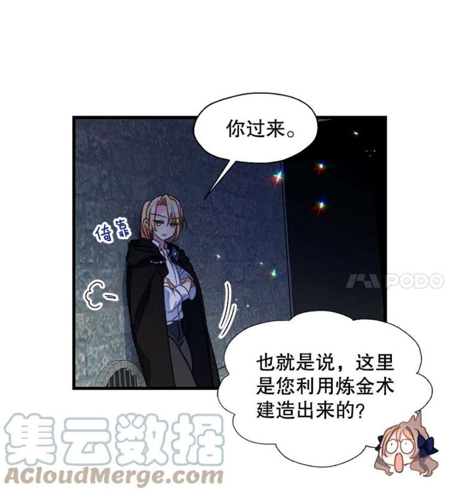 漂亮陛下别杀我38.帕斯