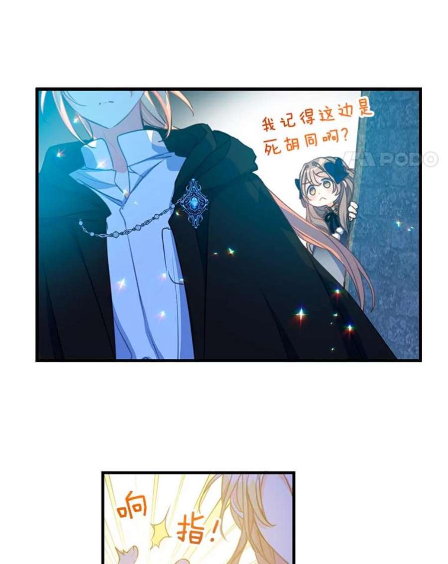 漂亮陛下别杀我38.帕斯