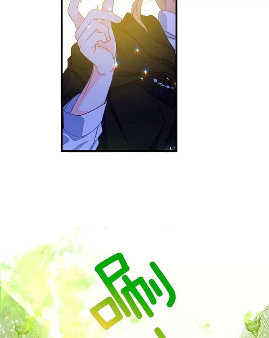 漂亮陛下别杀我38.帕斯