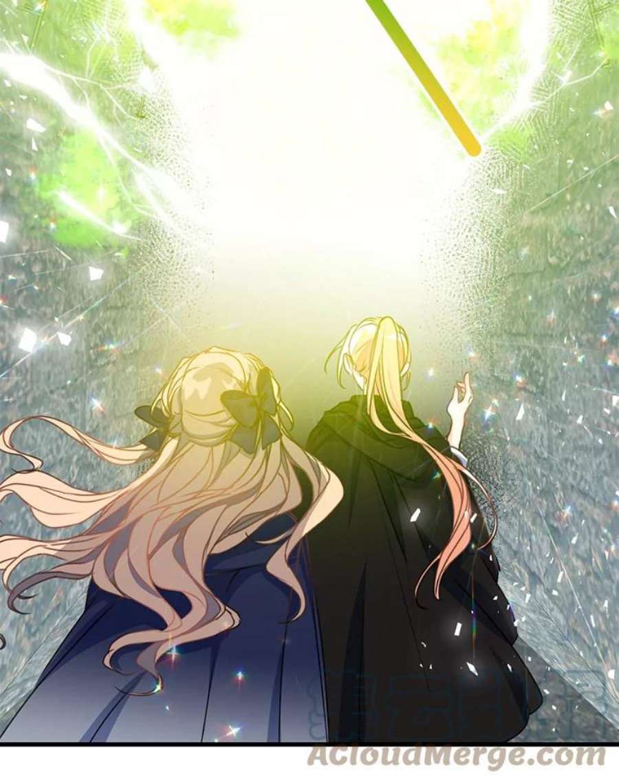 漂亮陛下别杀我38.帕斯