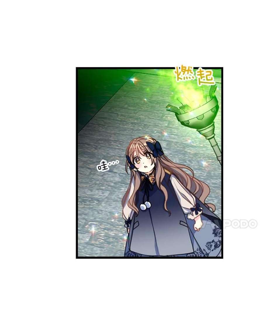 漂亮陛下别杀我38.帕斯