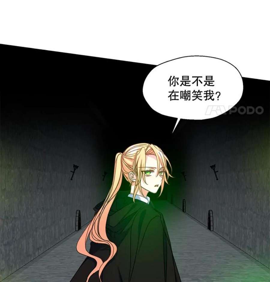 漂亮陛下别杀我38.帕斯