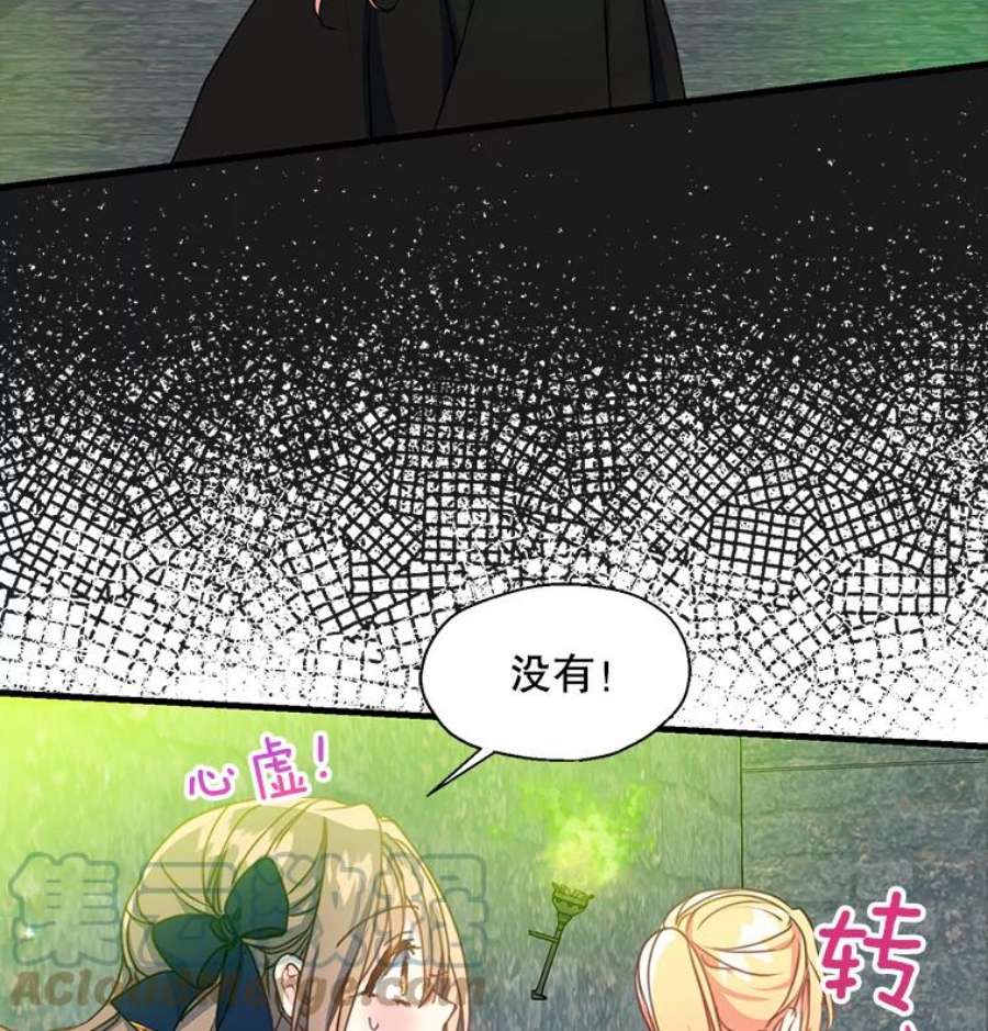漂亮陛下别杀我38.帕斯