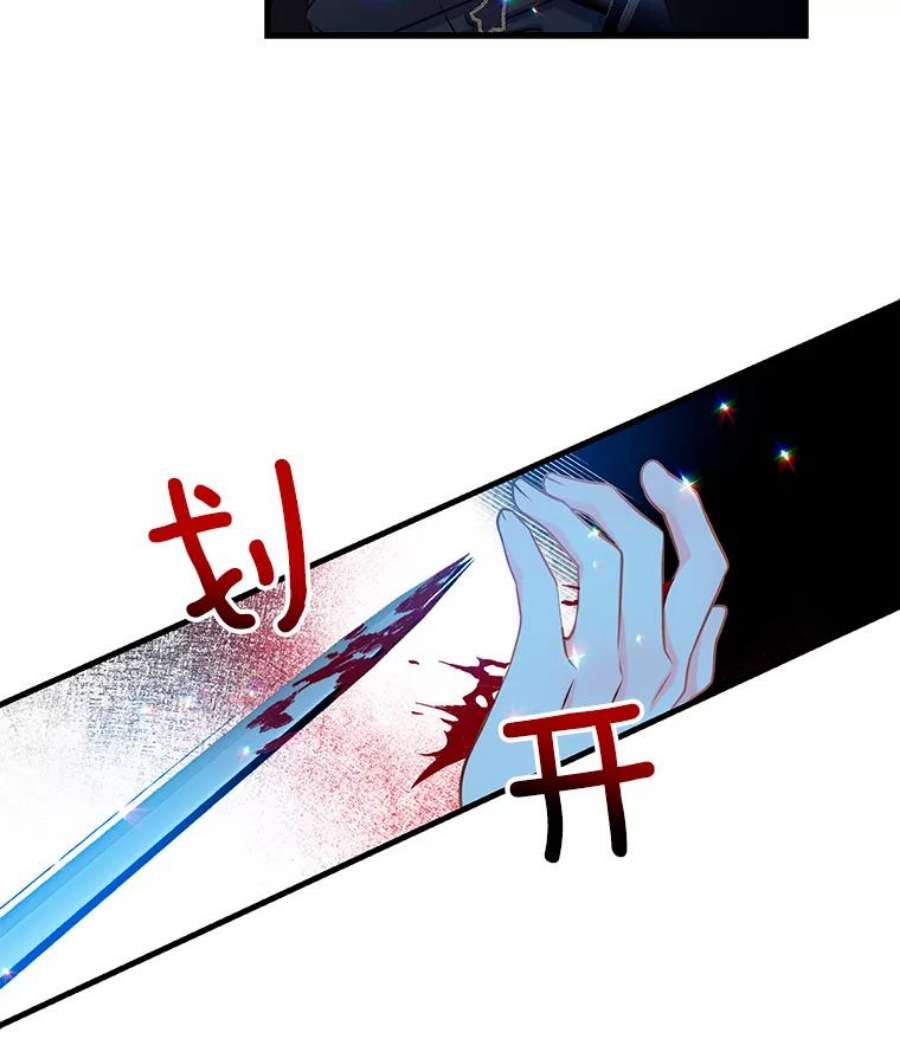 漂亮陛下别杀我38.帕斯