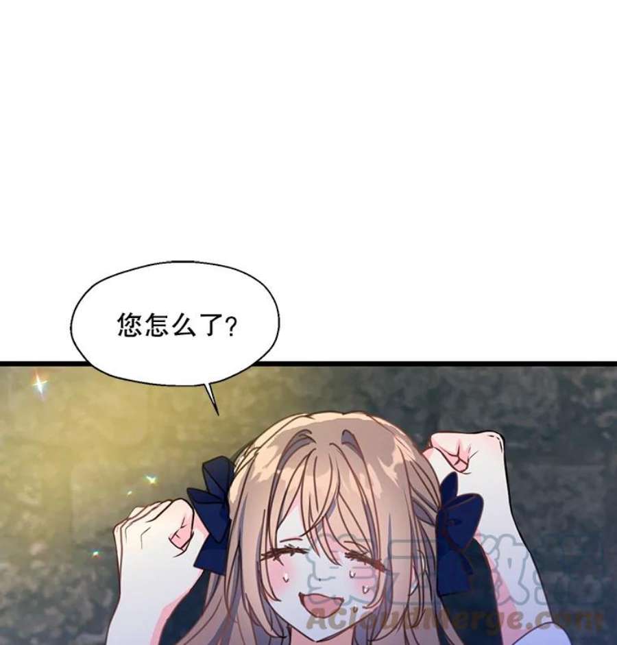 漂亮陛下别杀我38.帕斯