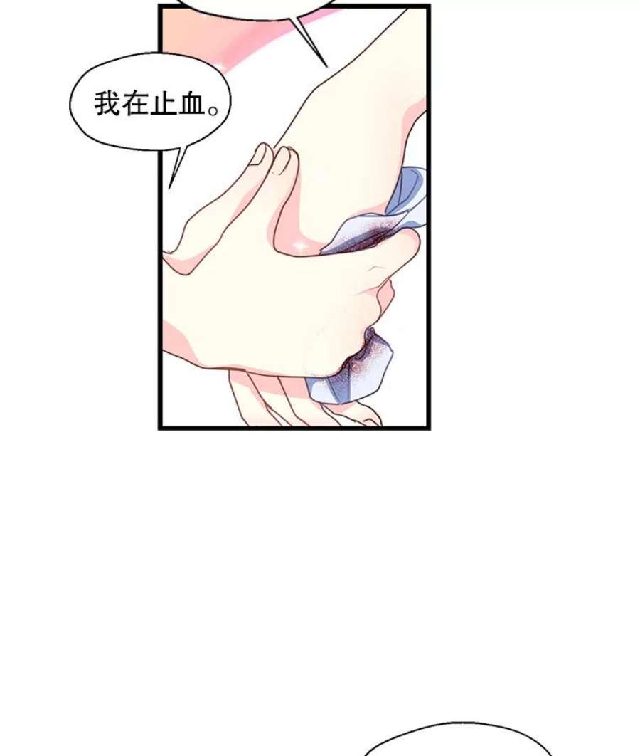 漂亮陛下别杀我38.帕斯