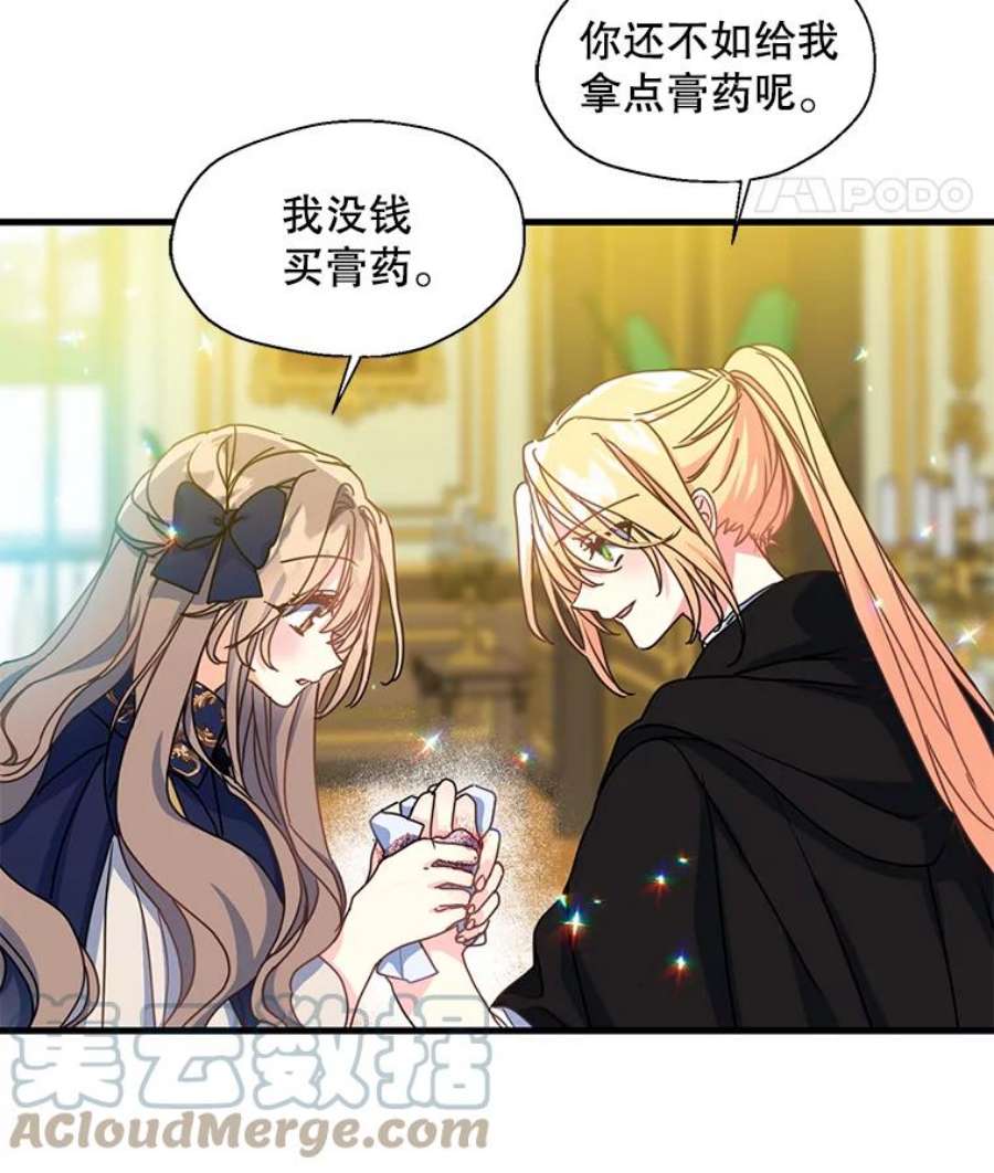 漂亮陛下别杀我38.帕斯