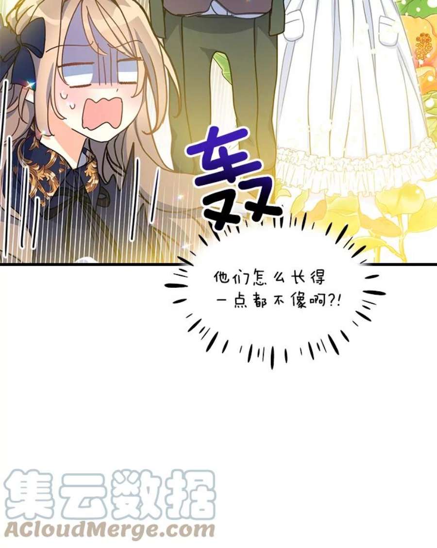 漂亮陛下别杀我38.帕斯
