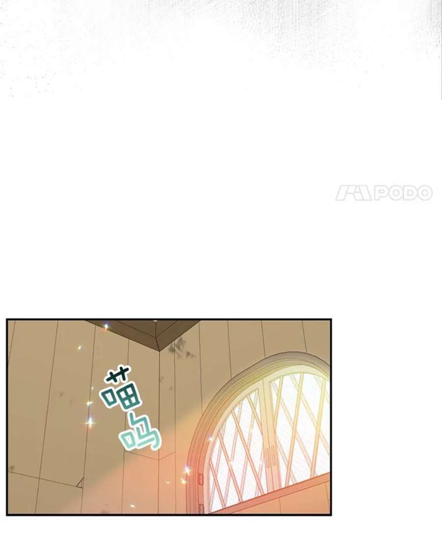 漂亮陛下别杀我47.被绑架