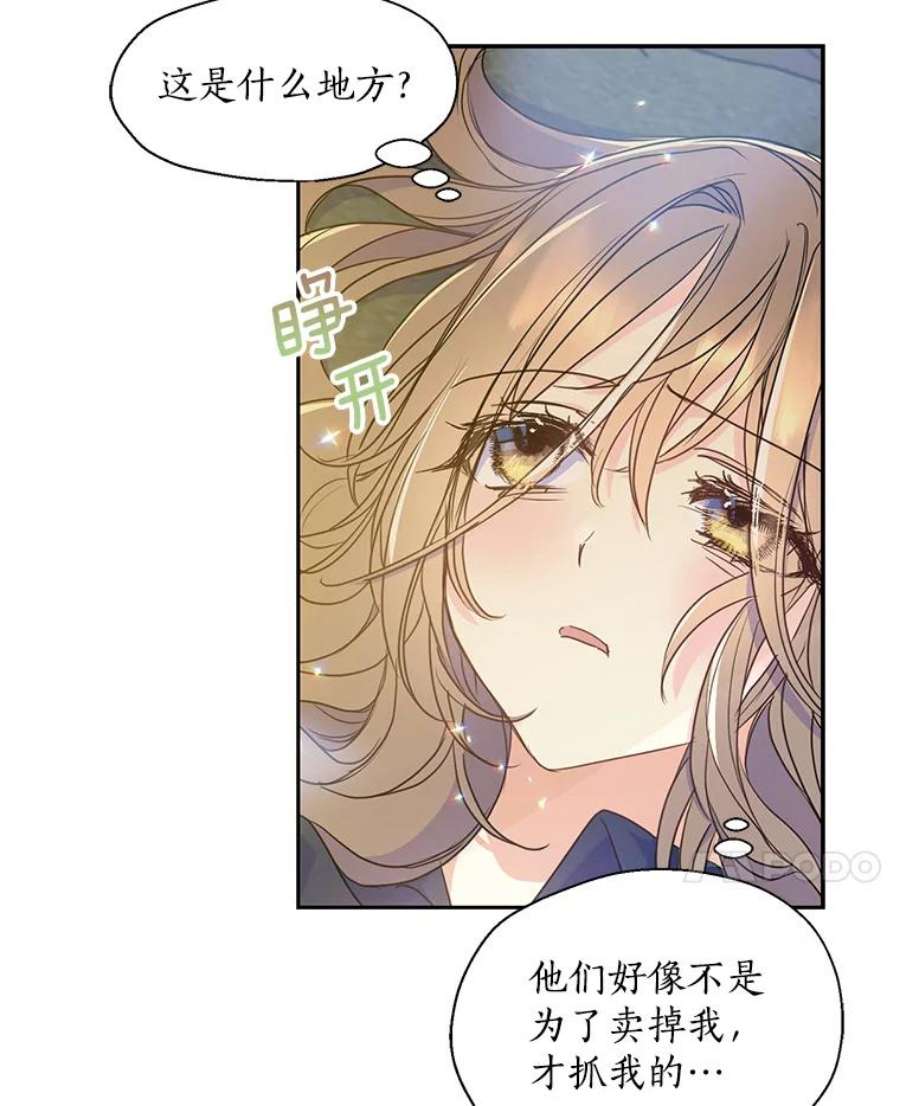 漂亮陛下别杀我47.被绑架