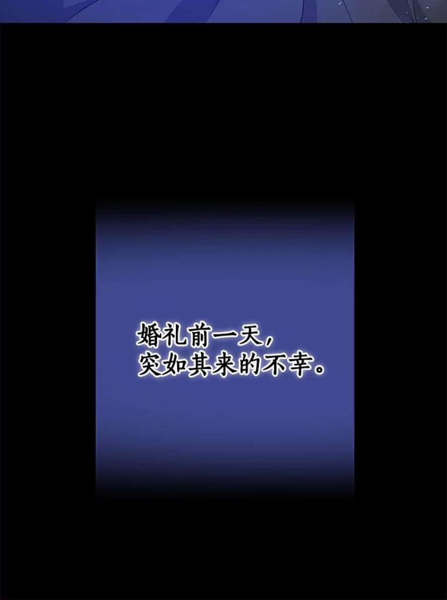 漂亮陛下别杀我56.复仇之路