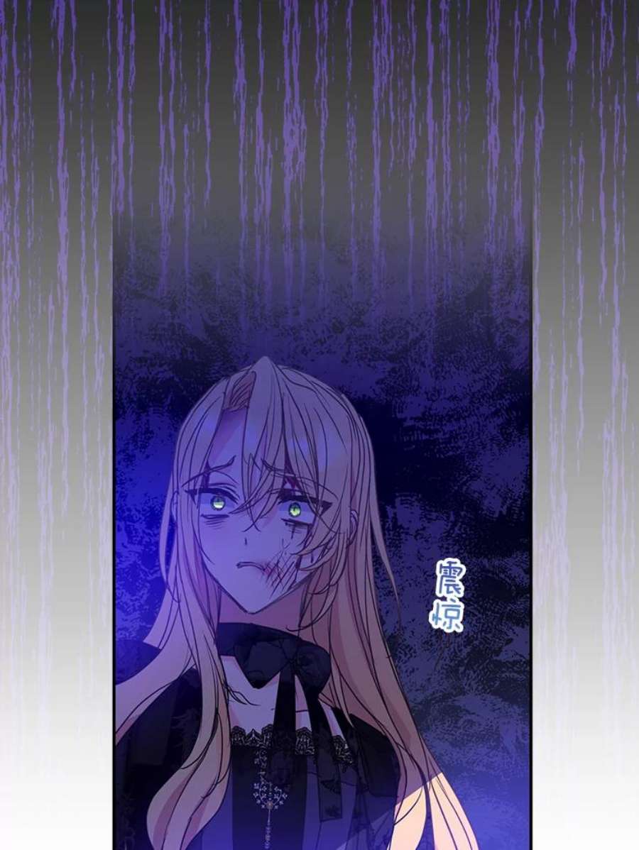 漂亮陛下别杀我56.复仇之路