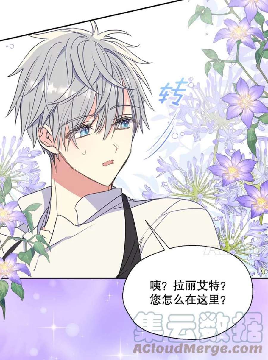 漂亮陛下别杀我71.出行