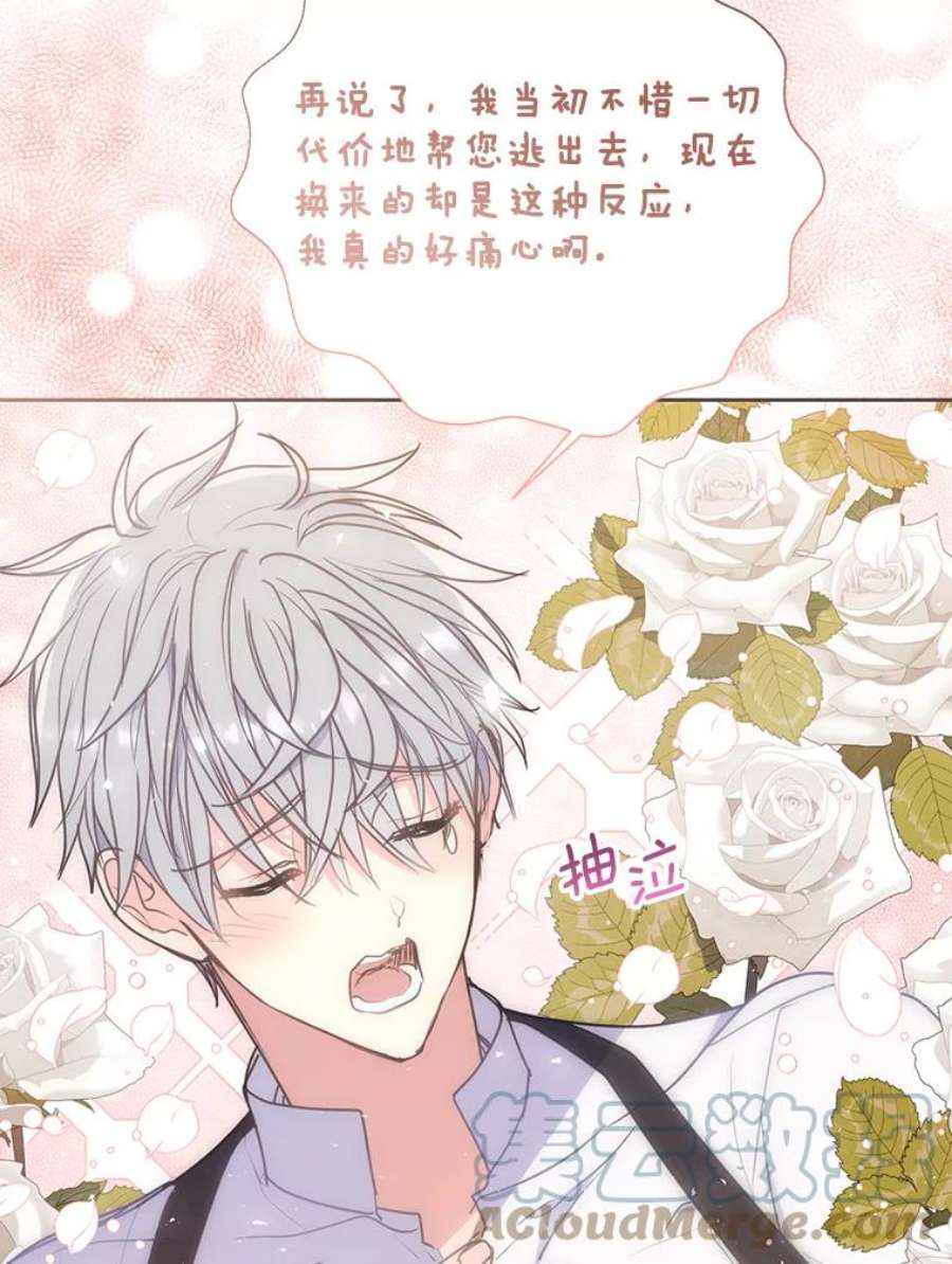 漂亮陛下别杀我71.出行