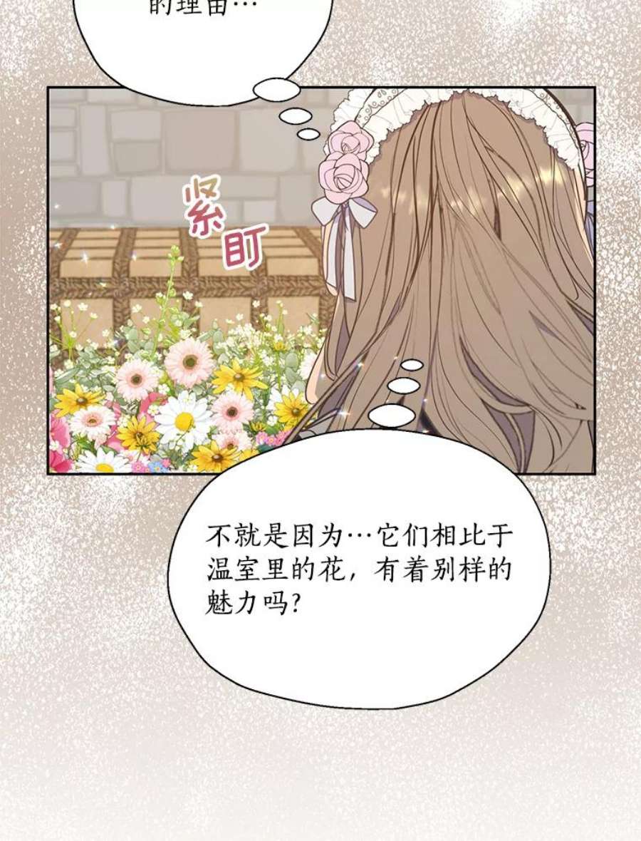 漂亮陛下别杀我71.出行