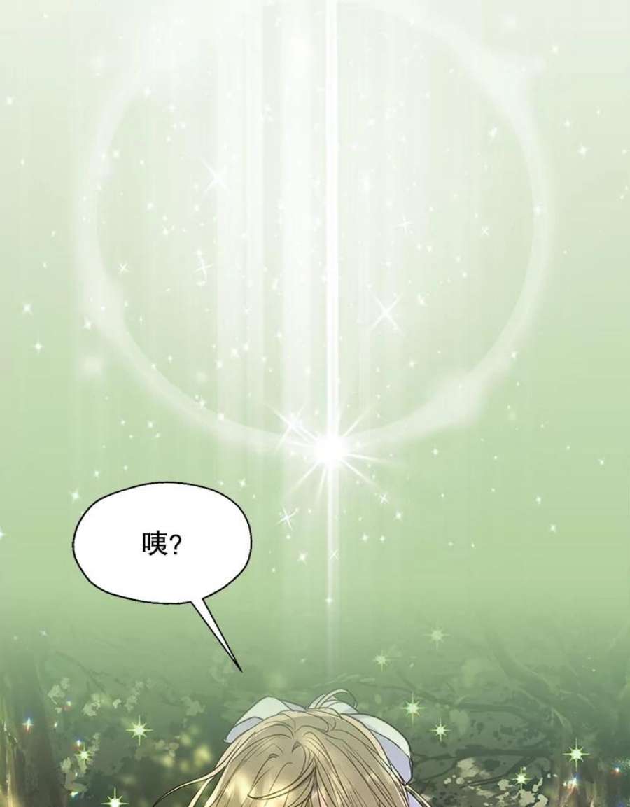 漂亮陛下别杀我73.我的才能