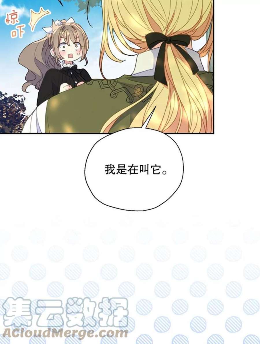 漂亮陛下别杀我73.我的才能