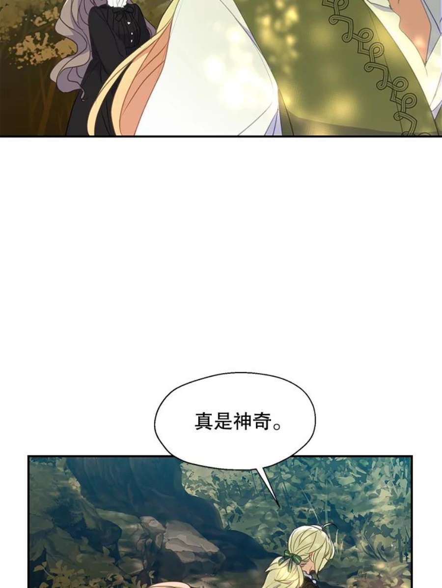 漂亮陛下别杀我73.我的才能